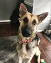 Duncan 0710