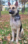 Duncan 0710
