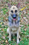 Duncan 0710
