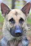 Duncan 0710