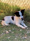 Belle 0715