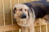 Big Teddy 0731