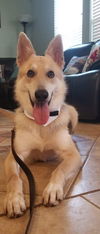 Dexter 0756