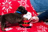 Dasher 0779