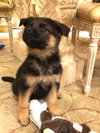 Jax 0790