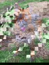 Betty White 0791