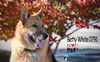 Betty White 0791