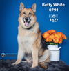 Betty White 0791