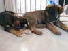 Axle 0792