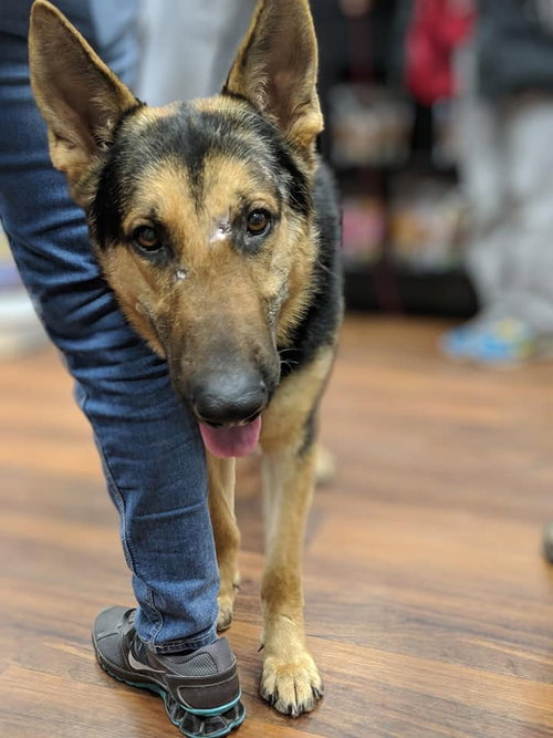 Duke 0811