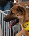 Roxy 0826