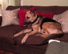 Ruby 0828