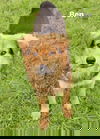 Ben 0829