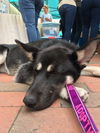 Kaiya 0847