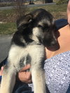 Skye 0855