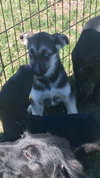 Skye 0855