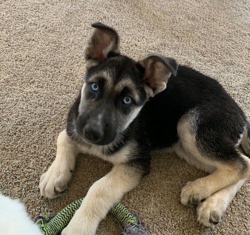 Skye 0855