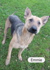 Emmie 0871
