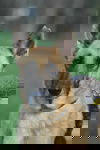 Tabitha 0873