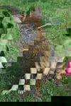Tabitha 0873
