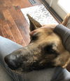 Tabitha 0873