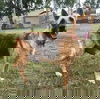 Tabitha 0873