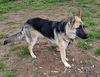 Bella 0900
