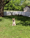 Bella 0900