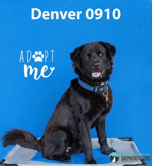 Denver 0910