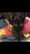 Zoe 0921