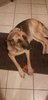 Bonnie 0923