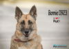 Bonnie 0923