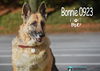 Bonnie 0923