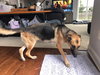 Stormy 0995