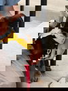 Ricochet 0998