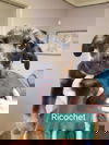 Ricochet 0998