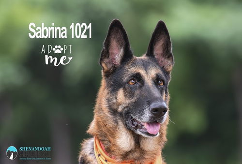 Sabrina 1021