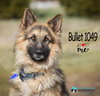 Bullet 1049