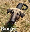 Ranger 1059