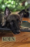 Koen 1063