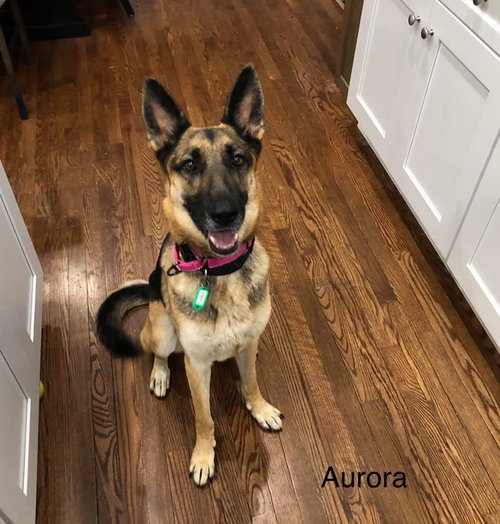 Aurora 1082