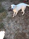 Spot Blanco 1090