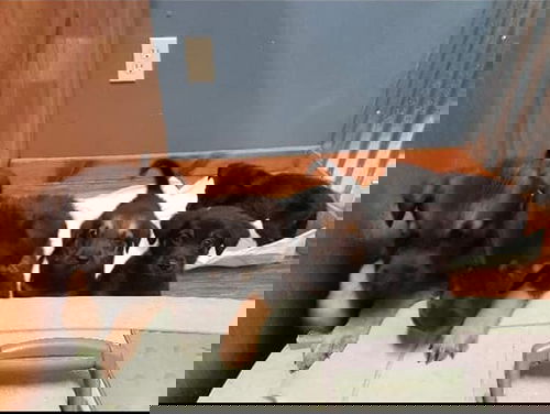 Zero 1110