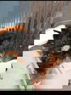 Zero 1110