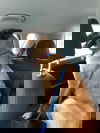 Yahtzee 1129