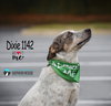Dixie 1142
