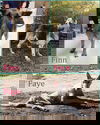 Faye 1176