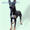 Jenna 1189