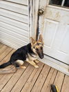Maddie 1203