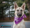 Jill 1204
